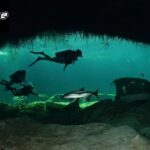 Cenote Cave Diving: An Unforgettable Underwater Adventure
