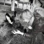 Tierkommunikation Thun – Bedeutungvolle Verbindungen erleben