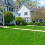 Trusted lawn care professionals in San Antonio for your healthiest yard