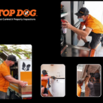 Commercial Pest Treatment Gold Coast: Safe, Effective Solutions for Your Business