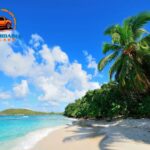 Rent Cars in Hawaii Service — Affordable, Reliable & Easy Booking