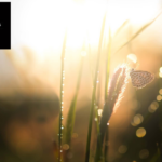KBT-psykolog i Stockholm | Hitta expert i evidensbaserad behandling