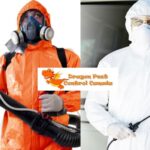 Edmonton Exterminator: Safe, Eco-Friendly Pest Control