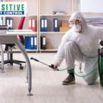 Trusted Bed Bug Exterminator for Fast, Lasting Relief