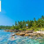 Rentals Car in Hawaii: Affordable, Easy Booking with Aloha Rentals