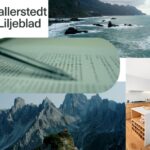 Internprissättningsdokumentation – säkra din efterlevnad hos Wallerstedtliljeblad
