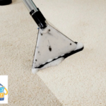 Tile & Grout Cleaning Services You Can Trust