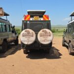 Choose a premier Kenya wildlife safaris company for tailored adventures