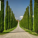 Villas to Rent Near Lucca — Luxury Italian Getaways