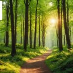 Find a pluralistic therapist: flexible, personalized mental health support