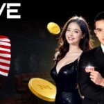 Evolution Gaming Live Casino: Real-Time Action with Expert Dealers