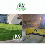 Weed Control Services Edina for a Lush, Healthy Lawn