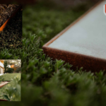 Choose Steel Garden Edging for a Sleek, Durable Border