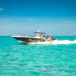 Paradise Island Los Angeles: Your Guided Escape