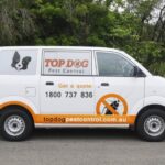 Rodent Control Gold Coast – Safe, Effective Pest Solutions