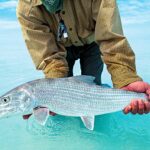 Bonefishing in Bahamas: A Trophy flats experience with Bairslodge
