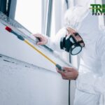 Reliable Pest Control Near Mickleham | Safe & Local Solutions
