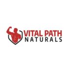 Natural Immune Support Supplements for Everyday Wellness