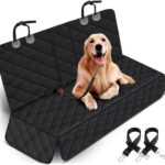 Airline Pet Travel Requirements: A Simple Guide for UK Travellers