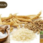 A Journey Through a Trusted Food Ingredient Supply Chain
