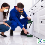 Calgary Bee Removal: Humane, Safe & Reliable Service