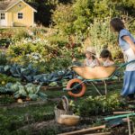 Embrace the Cottagecore Homesteading Lifestyle: A Gentle Path to Simpler Living