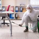 Calgary Wasp Nest Removal: Safe, Fast & Affordable Experts