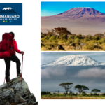 Tanzania Mountain Trekking Company | Kilimanjaro Mountaineers