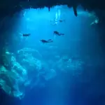 Tulum Cenote Diving: Explore Stunning Underground Wrecks and Crystals
