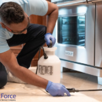 Calgary Mouse Removal: Fast, Safe & Humane Solutions
