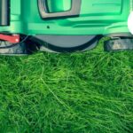 Garden clearance services in Bristol | Fast, eco-friendly removal